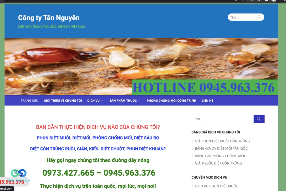 bounce rate 20