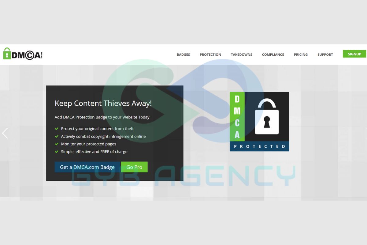 Giao diện của DMCA sau khi đăng nhập