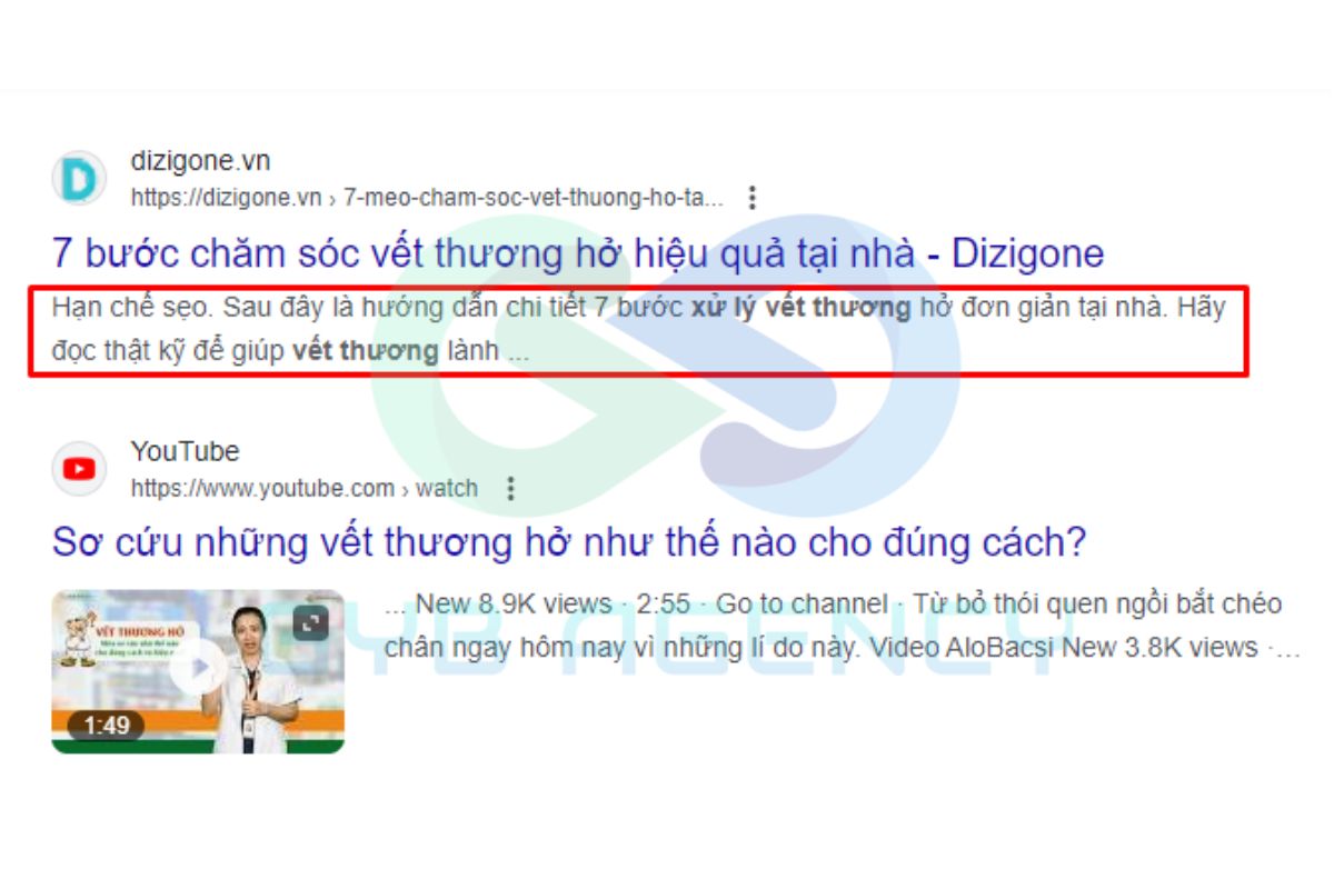 Một số ví dụ về Meta Description