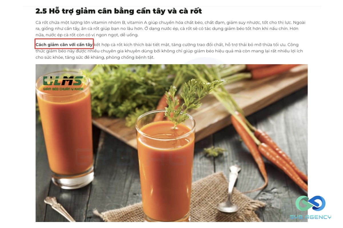 seo onpage 18