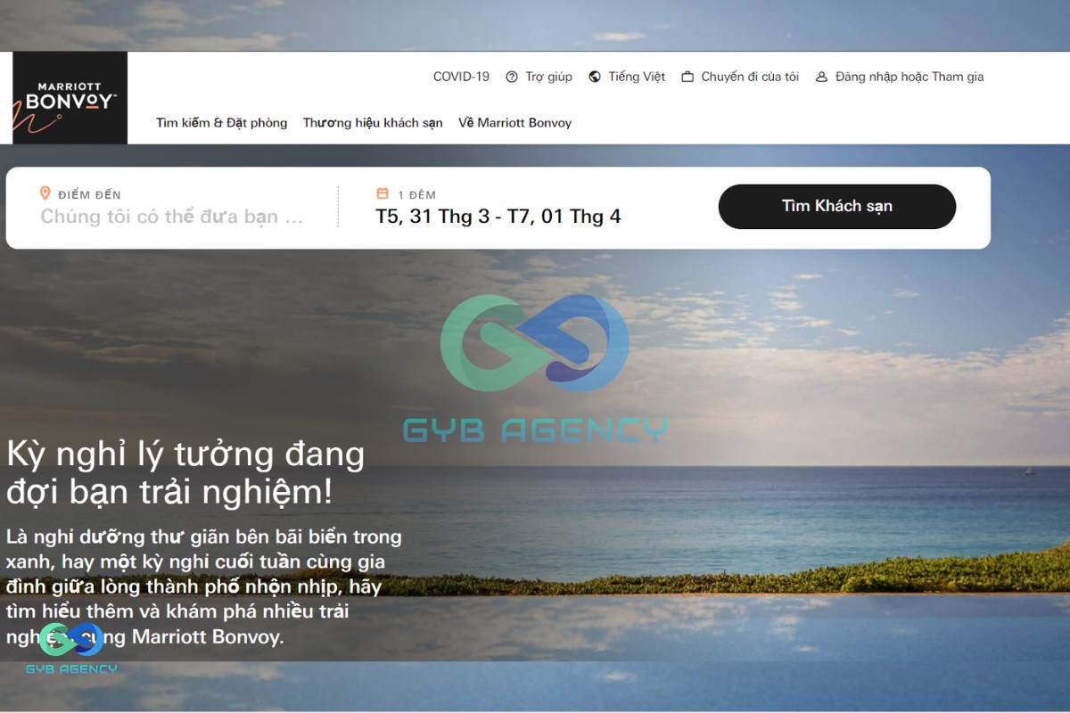 có mấy loại trang web 