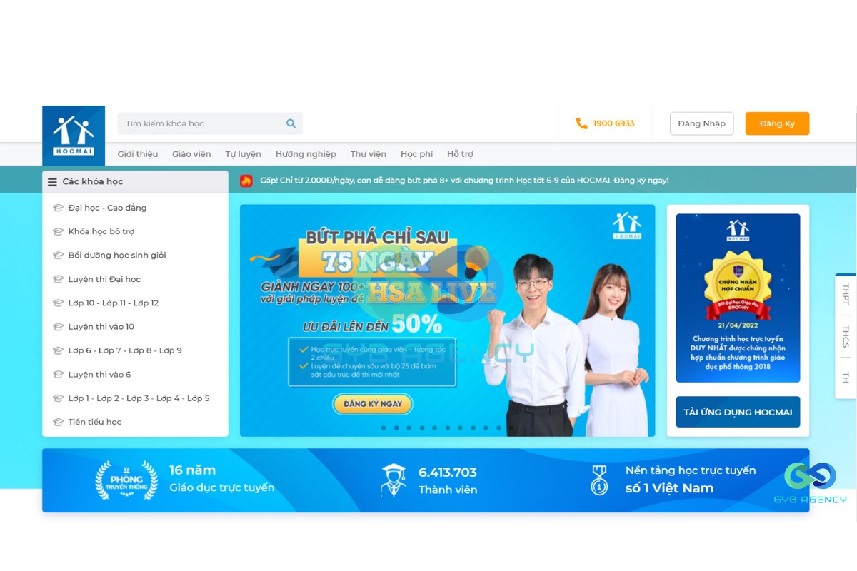 có mấy loại trang web 
