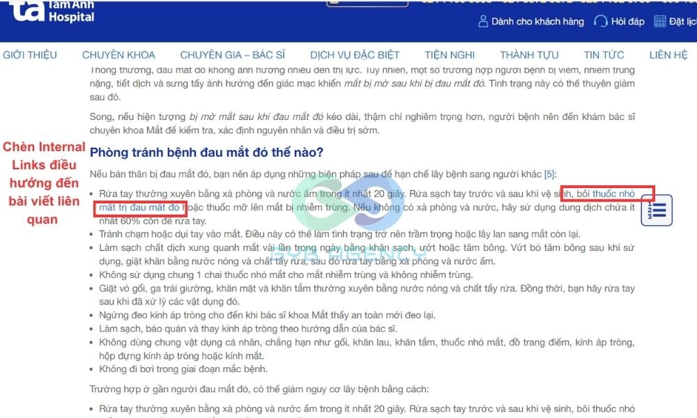 Mẫu bài viết chuẩn SEO