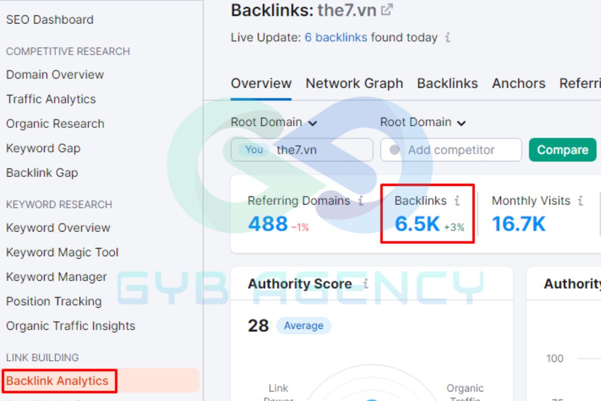 Các dữ liệu được hiển thị tại mục Backlink Analysis