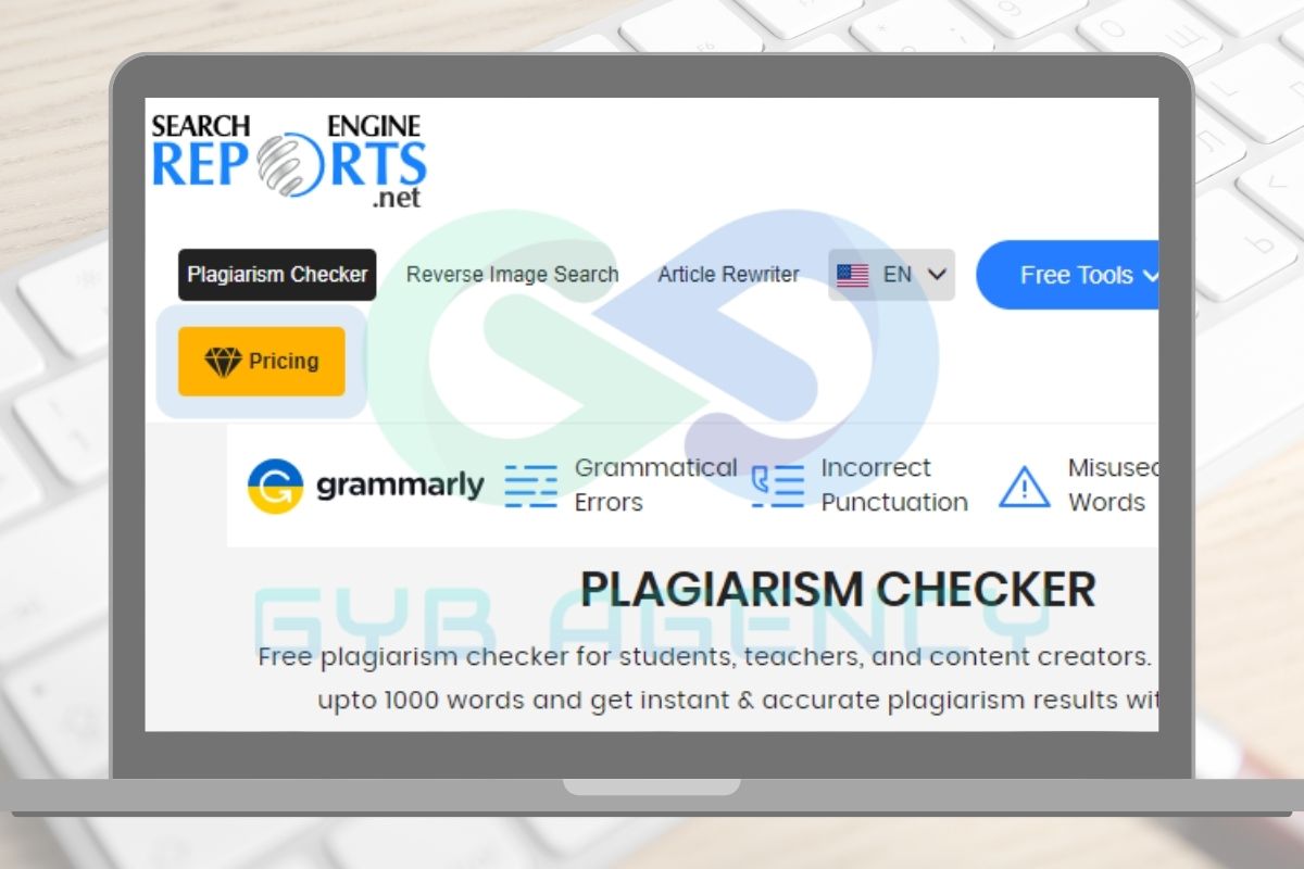 Search Engine Reports 
