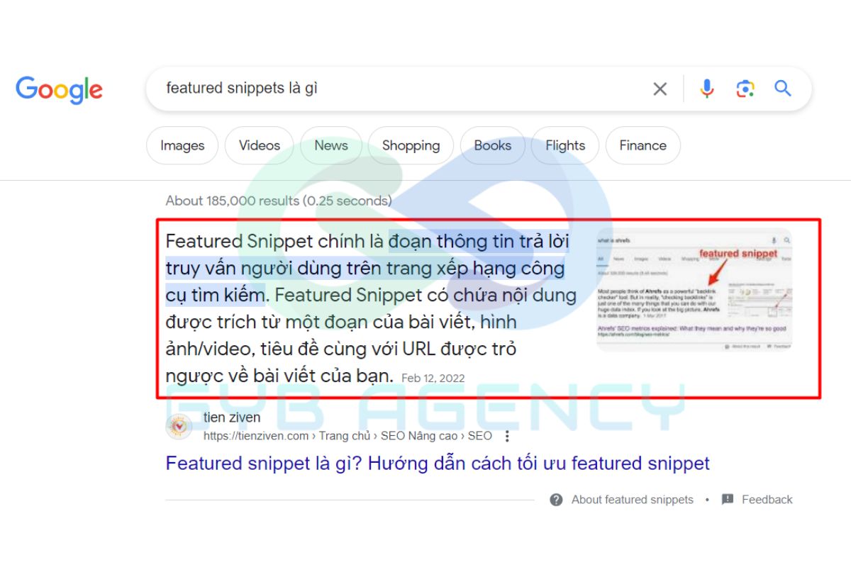 Một số hình thức hiển thị SERP thông dụng