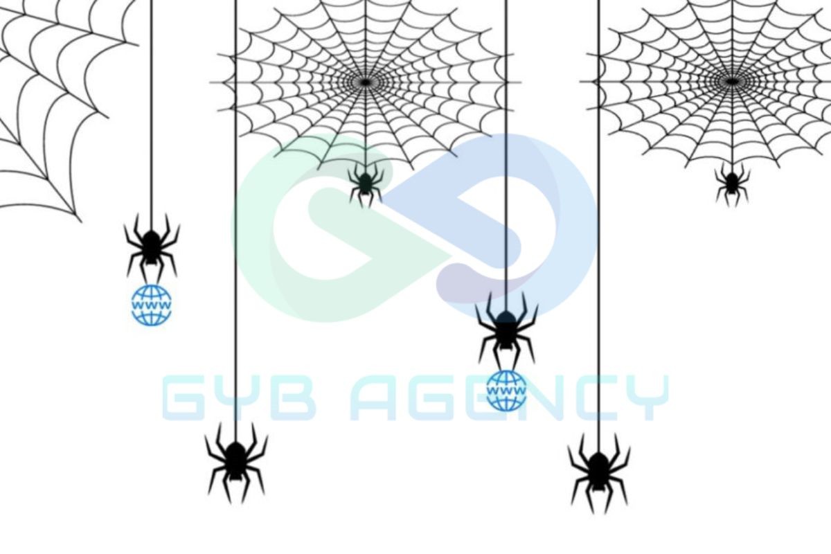Web Crawler là gì? Tại sao được gọi là spiders?